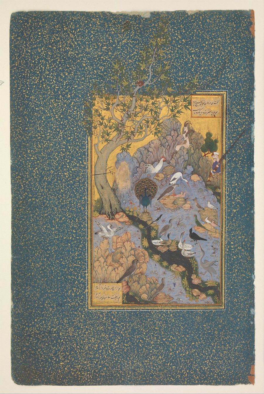 Le Concours des Oiseaux